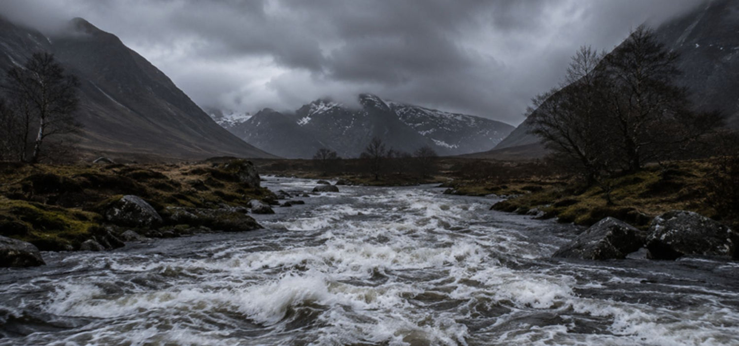 Western Tides