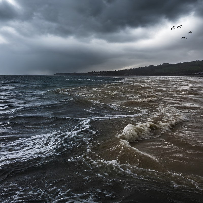 Western Tides